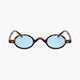Havana/Light Blue