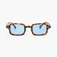 Tortoise/Light Blue
